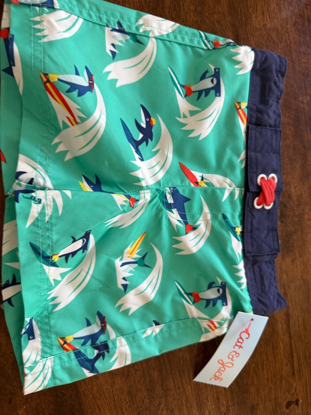 Carter's Teal Swim Shorts with Navy Waistband and White Drawcords